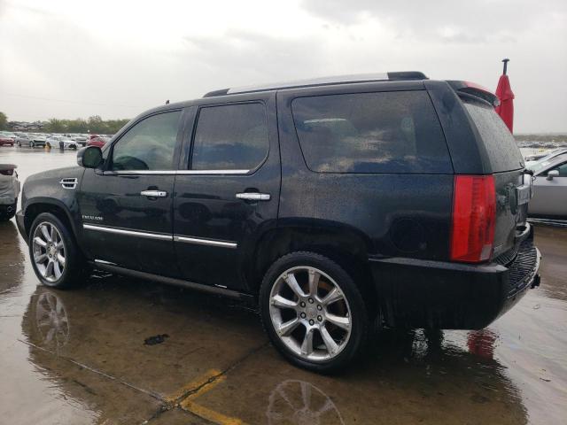 2010 CADILLAC ESCALADE P - 1GYUCCEF4AR287972