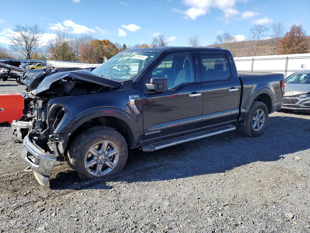 Lot #2991441846 2024 FORD F150 XLT