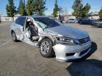 Lot #3023439239 2014 HONDA ACCORD LX