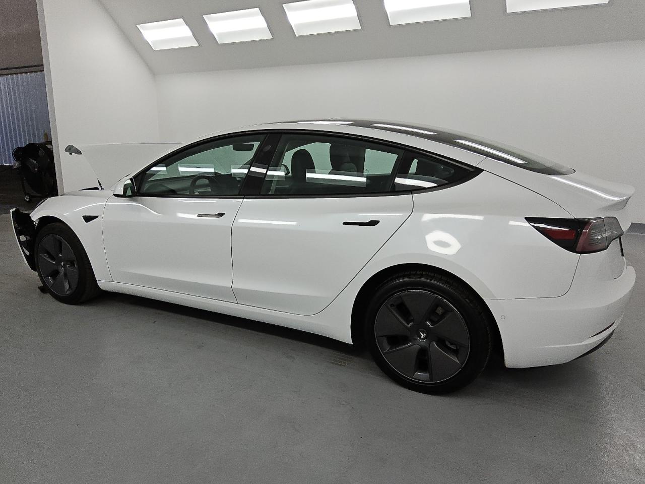 Lot #2988759684 2022 TESLA MODEL 3