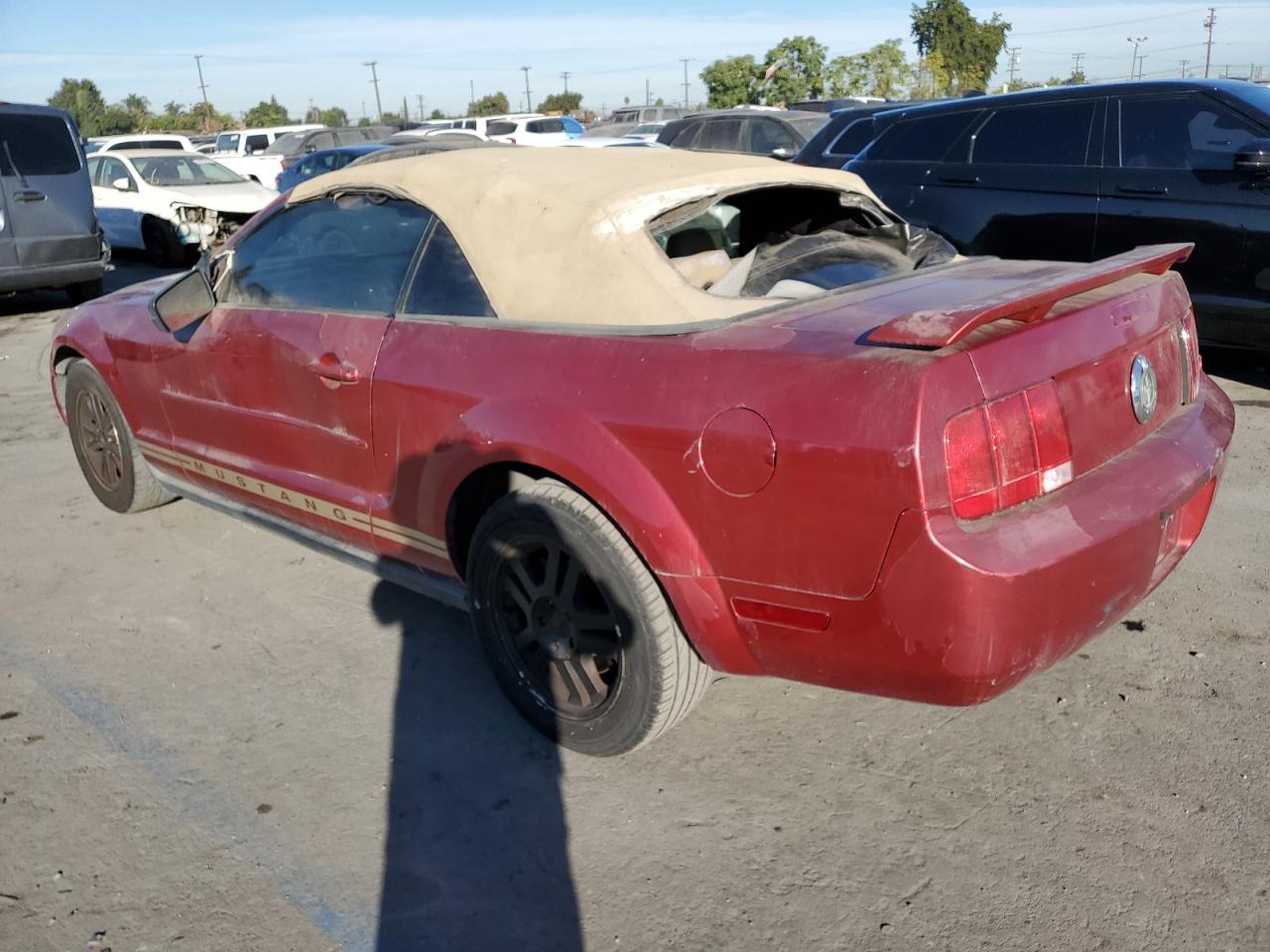 Lot #2955226510 2005 FORD MUSTANG