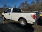 Lot #3023917203 2011 FORD F150