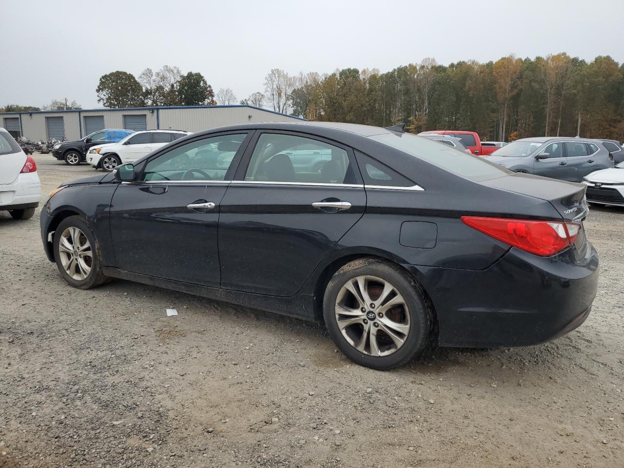 Lot #2952735201 2013 HYUNDAI SONATA SE