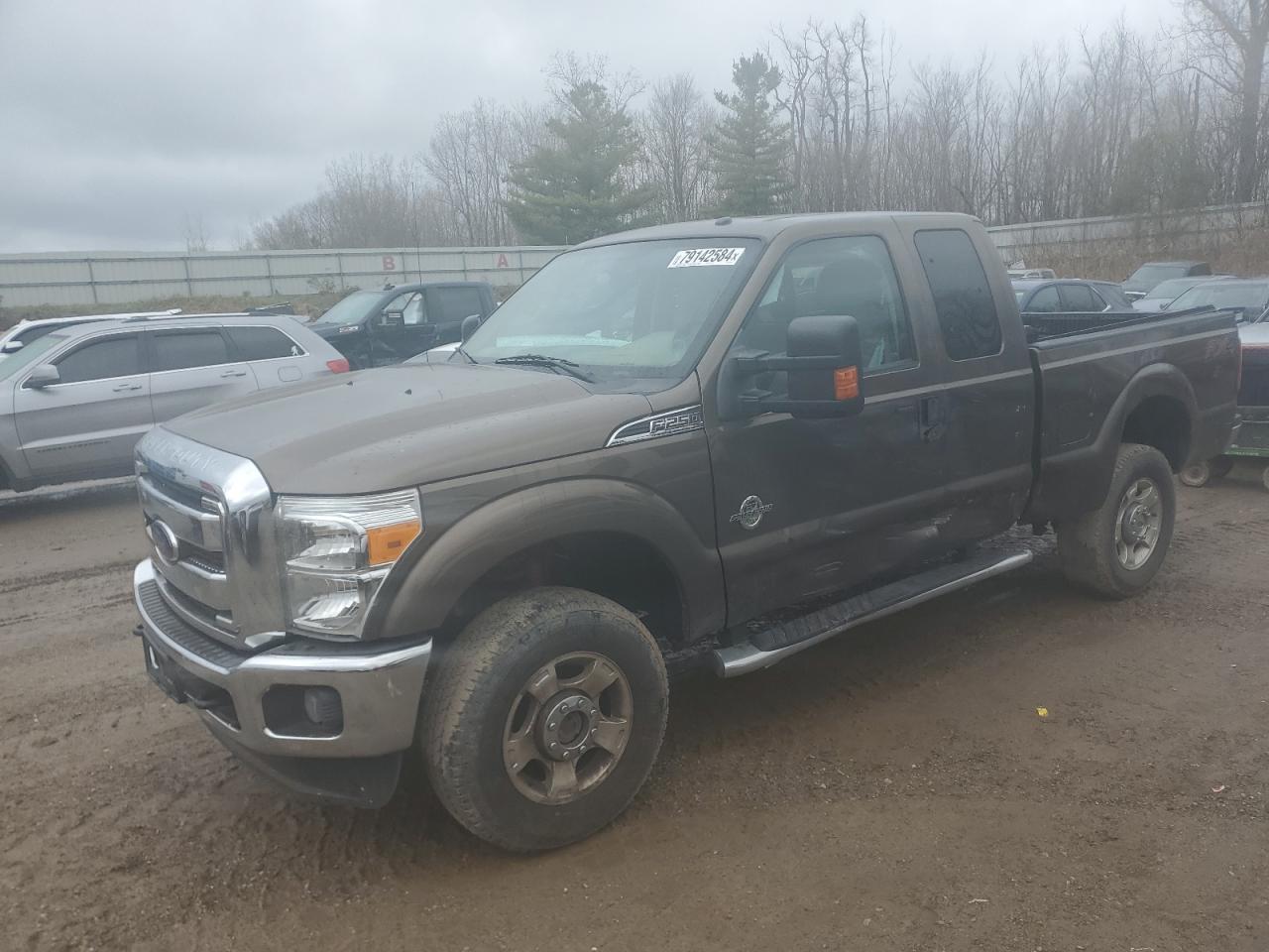 Lot #2996256387 2015 FORD F250 SUPER