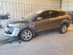 Lot #3023183142 2014 FORD ESCAPE TIT