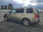 HONDA PILOT EXL photo