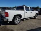 Lot #3023942242 2013 CHEVROLET SILVERADO