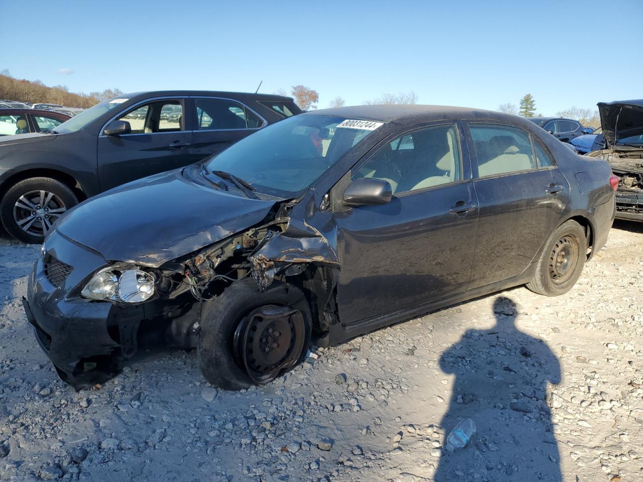 Lot #3022843336 2010 TOYOTA COROLLA BA