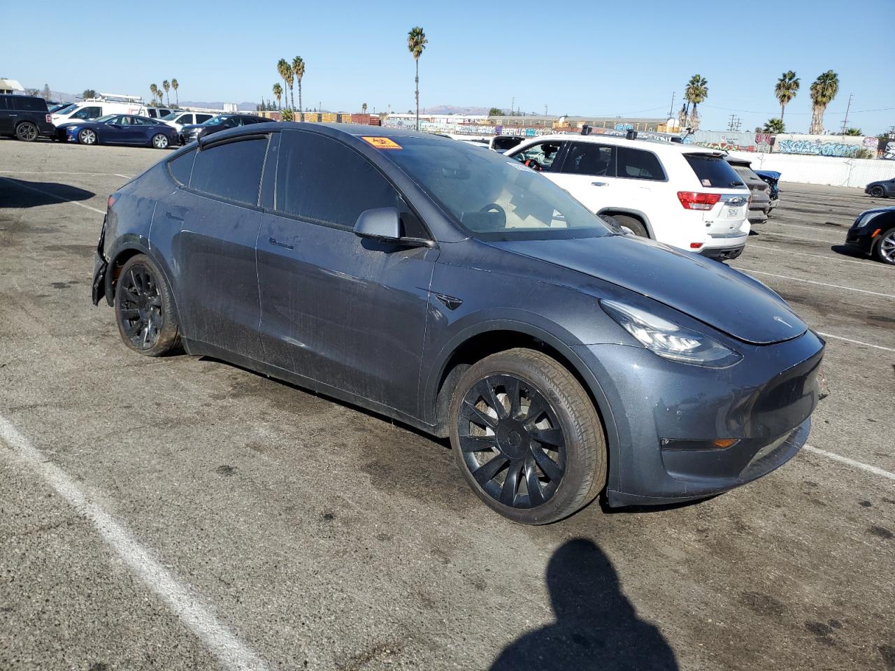 Lot #3030427464 2023 TESLA MODEL Y