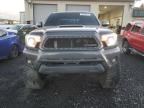 TOYOTA TACOMA DOU photo