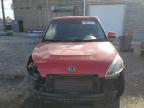 KIA SOUL + photo