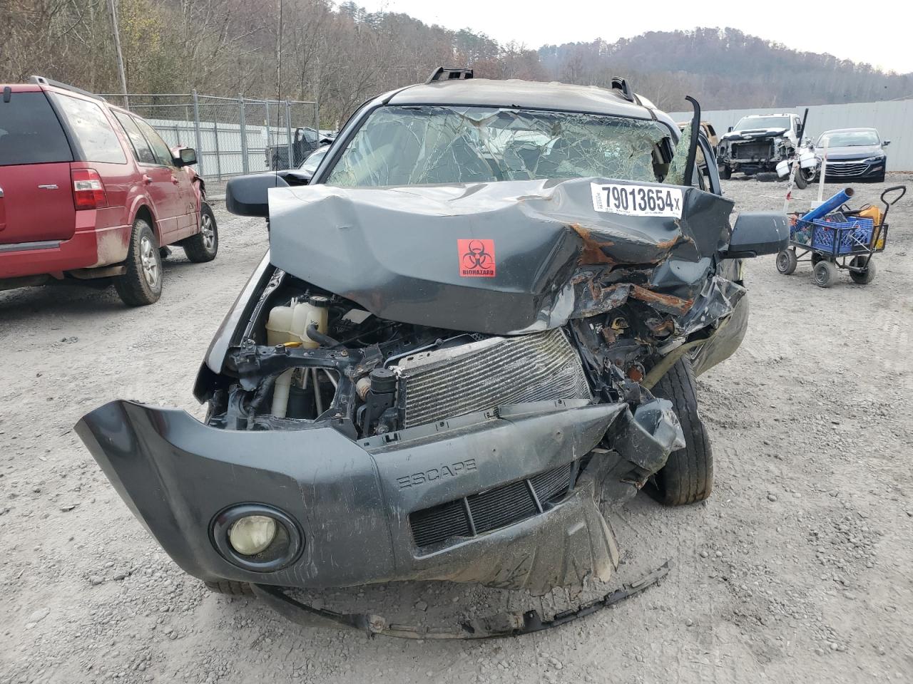 Lot #3034343128 2008 FORD ESCAPE XLT