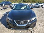 Lot #3024823382 2019 NISSAN MAXIMA S