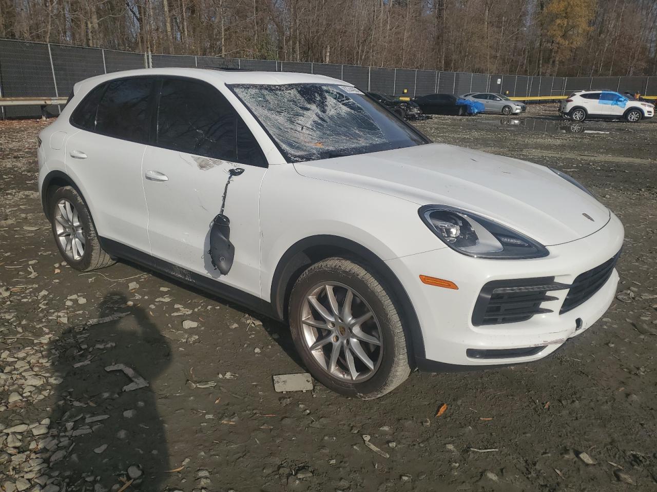 Lot #3029578084 2019 PORSCHE CAYENNE