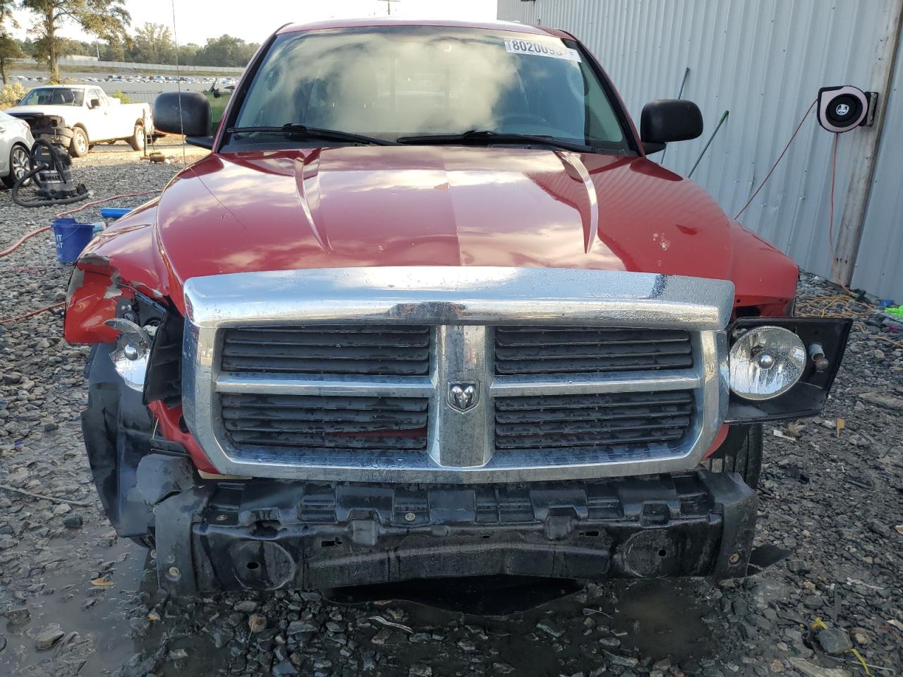 Lot #3020939702 2006 DODGE DAKOTA SLT