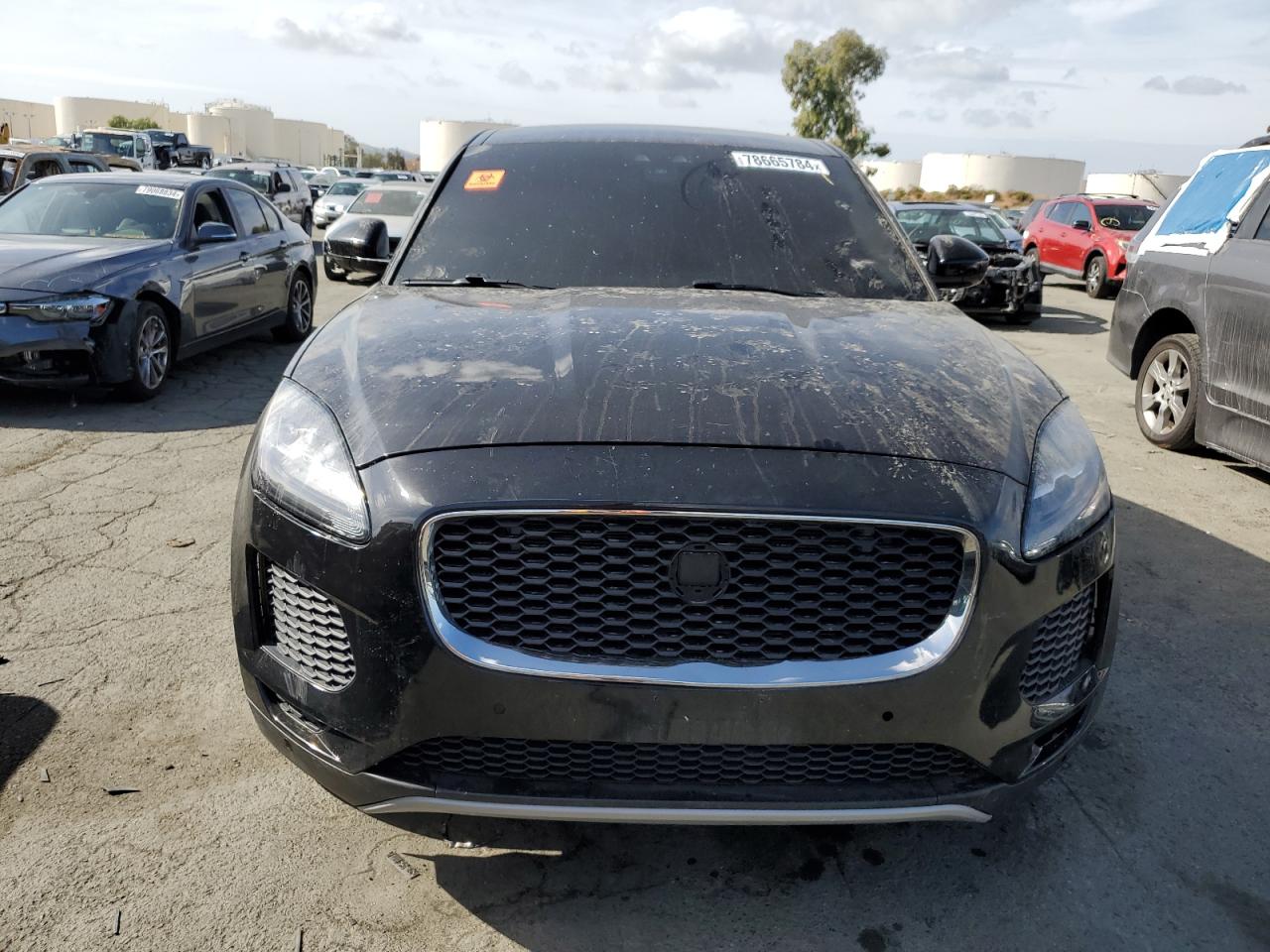 Lot #2979381660 2020 JAGUAR E-PACE