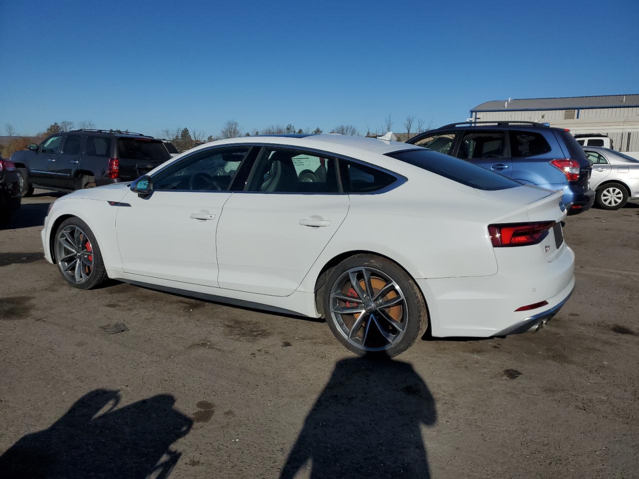 Lot #2962077150 2019 AUDI S5 PREMIUM