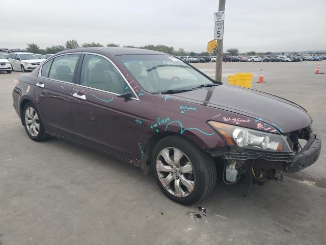 2010 HONDA ACCORD EXL - 5KBCP3F87AB004221