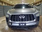 Lot #3024235875 2024 INFINITI QX60 LUXE