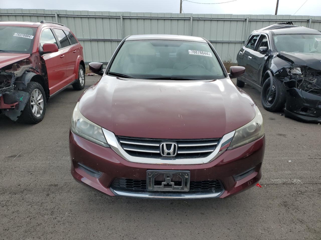 Lot #2972455719 2013 HONDA ACCORD LX