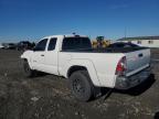 TOYOTA TACOMA ACC photo