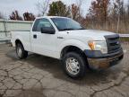 Lot #3024623598 2013 FORD F-150 XL