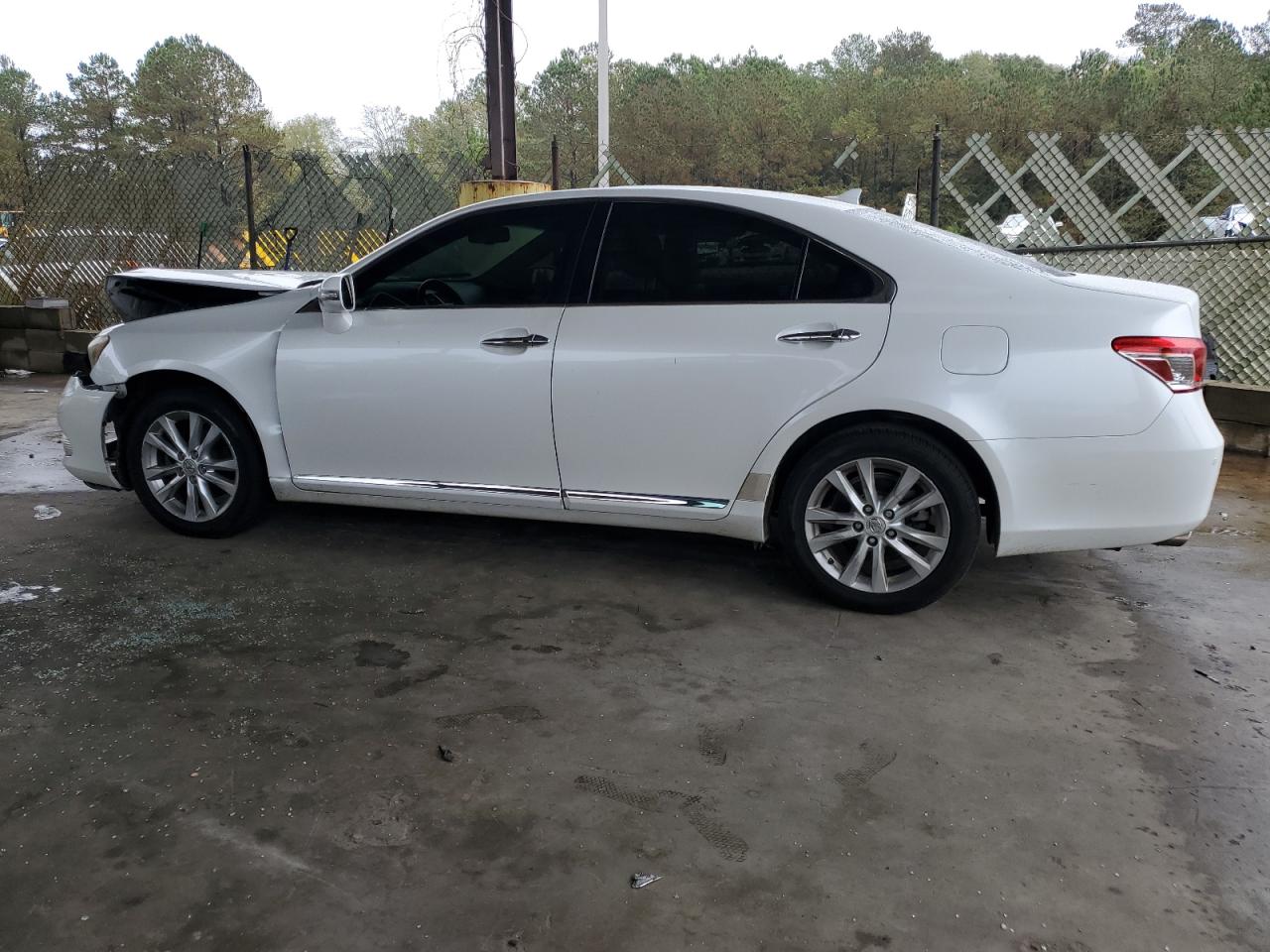 Lot #2989182623 2011 LEXUS ES 350