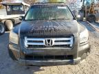 HONDA PILOT EXL photo