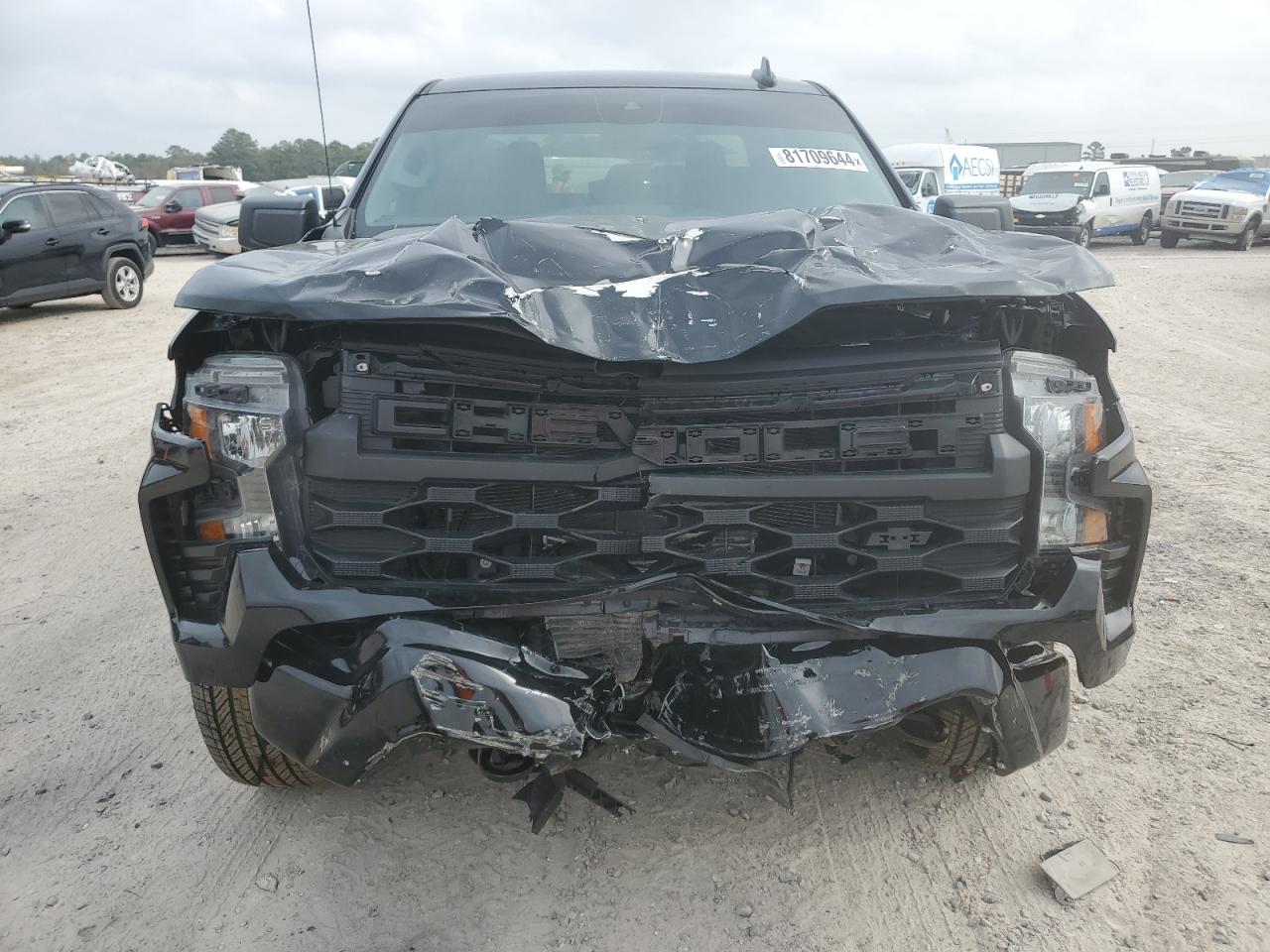 Lot #3023315292 2024 CHEVROLET SILVERADO