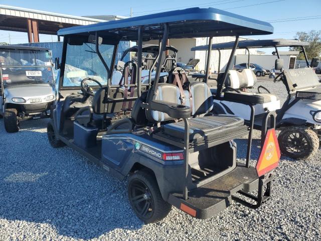 ASPT GOLF CART 2021 blue   FLA111834 photo #4