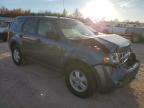 Lot #3024356553 2012 FORD ESCAPE XLT