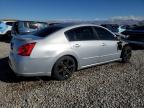 Lot #3023643940 2007 NISSAN MAXIMA SE