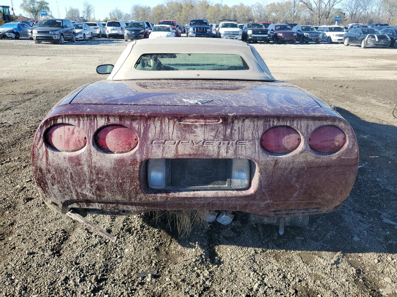 Lot #3029386679 2003 CHEVROLET CORVETTE