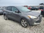 Lot #3023632296 2014 FORD ESCAPE SE