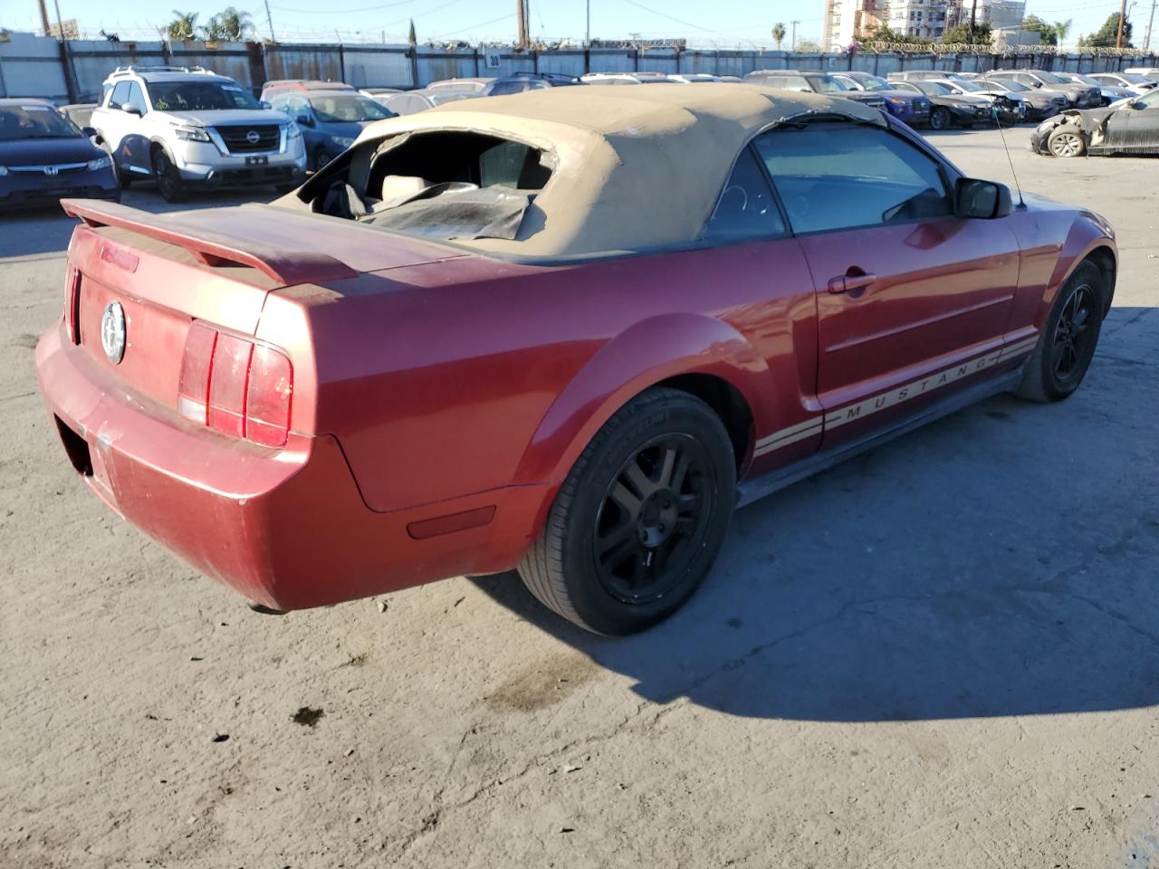 Lot #2955226510 2005 FORD MUSTANG