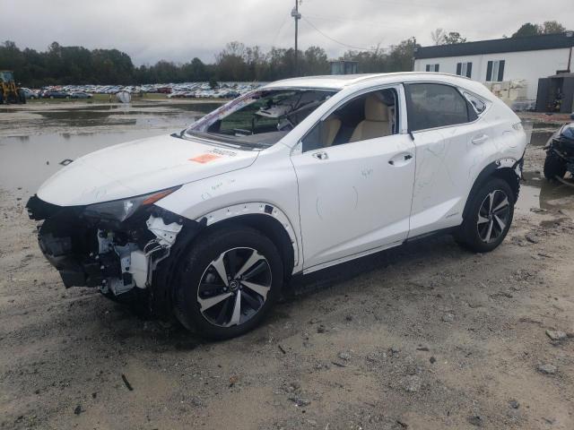 2020 LEXUS NX 300H - JTJGJRDZXL5009737