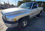 DODGE RAM 1500 photo