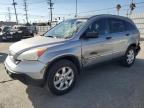 HONDA CR-V EX photo