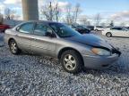 Lot #3030577829 2006 FORD TAURUS SE