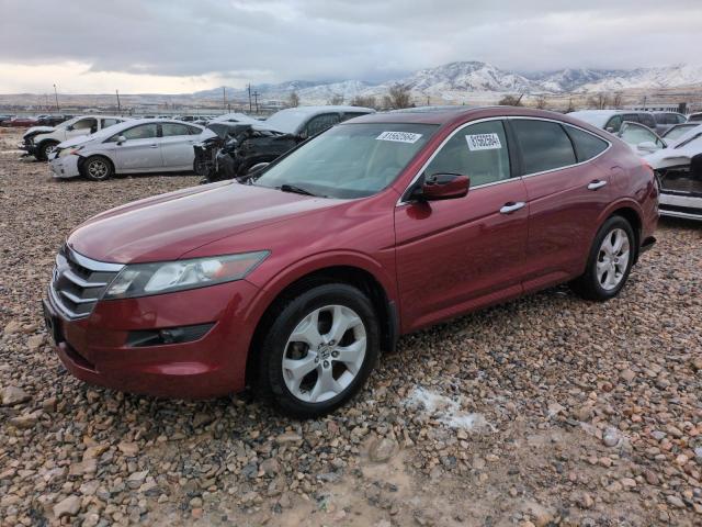 Vin: 5j6tf2h55al007690, lot: 81562564, honda accord exl 2010 img_1
