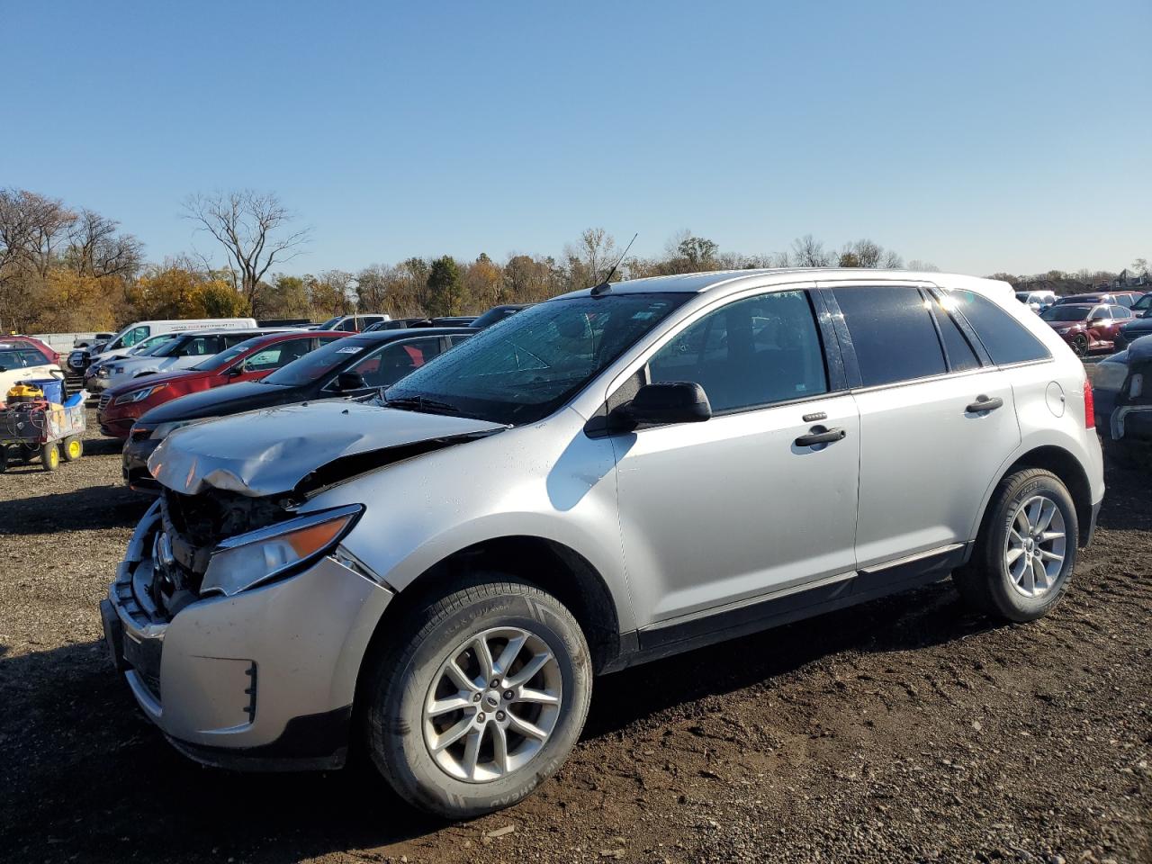 Lot #2996596511 2014 FORD EDGE SE