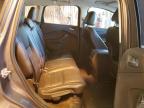 Lot #3023183142 2014 FORD ESCAPE TIT