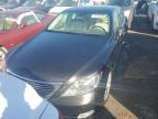 Lot #3025204638 2009 LEXUS LS 460