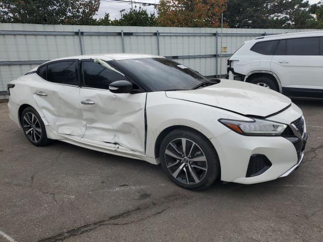 2023 NISSAN MAXIMA 1N4AA6CV1PC509086