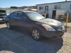 NISSAN ALTIMA BAS photo