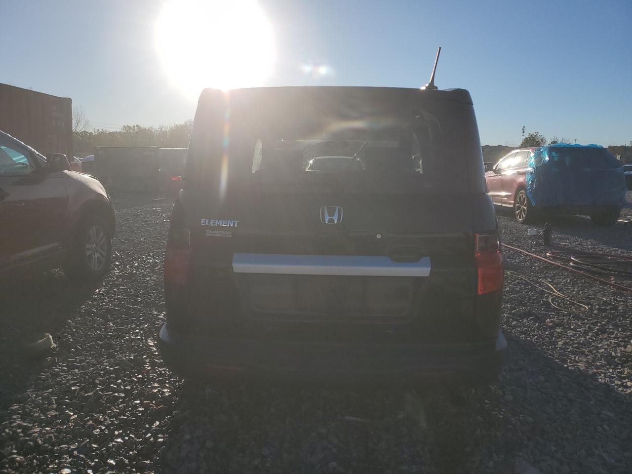 Lot #3024681703 2010 HONDA ELEMENT EX