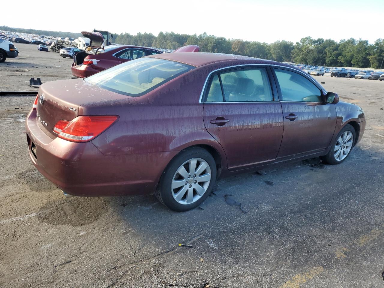 Lot #3038019193 2007 TOYOTA AVALON XL