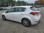 KIA FORTE EX photo