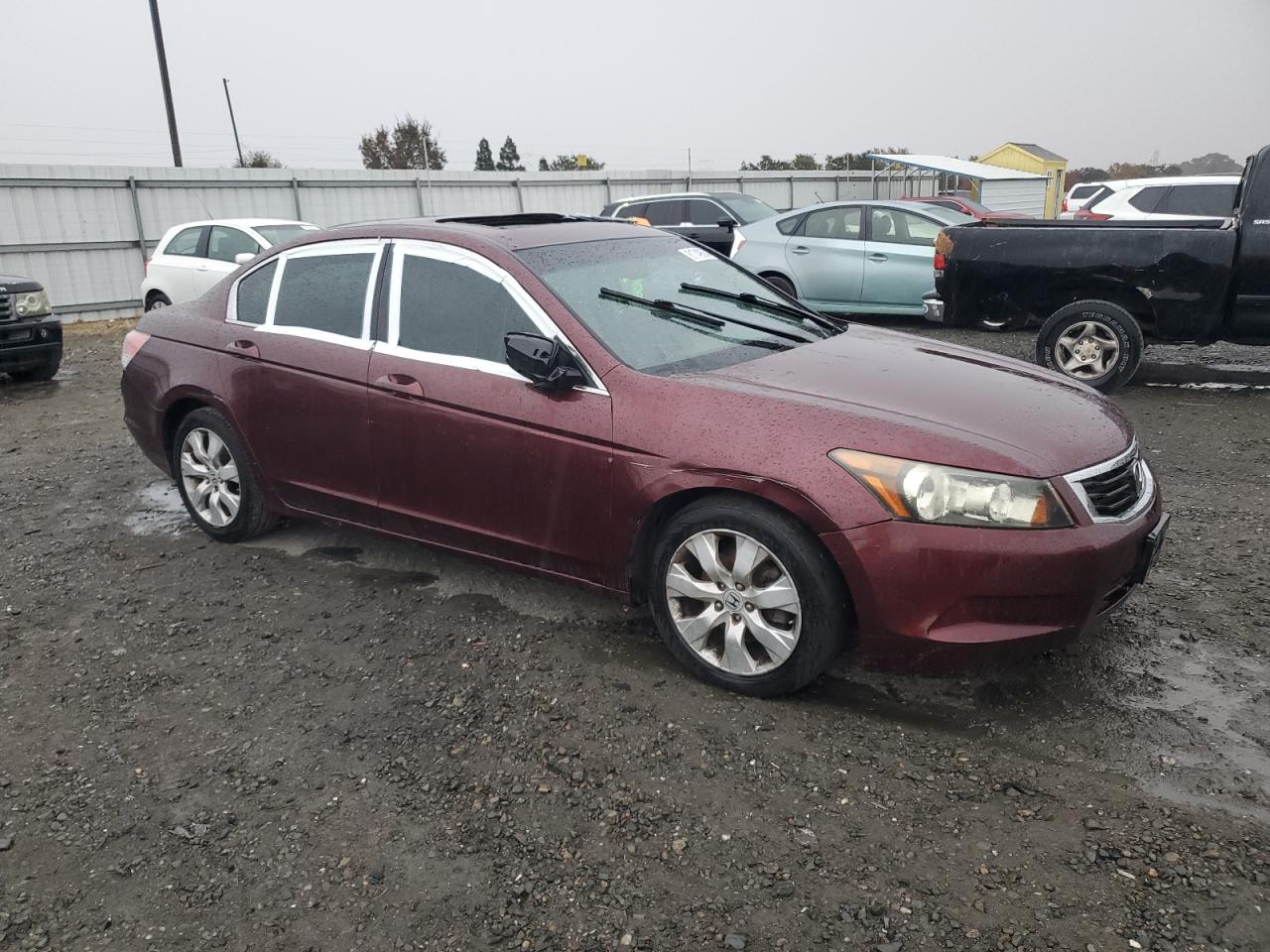 Lot #2994068266 2009 HONDA ACCORD EXL