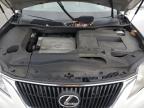 LEXUS RX 350 photo